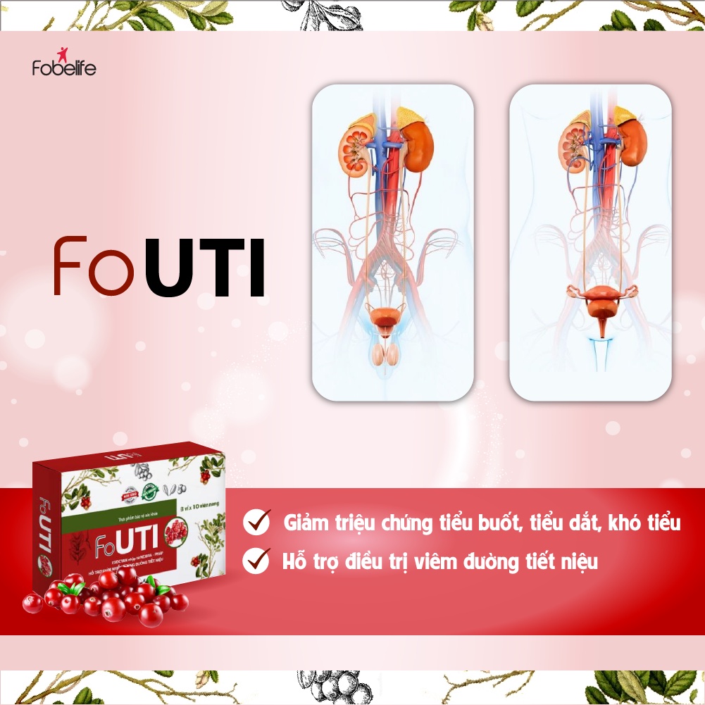 Viên Uống Giảm viêm đường tiết niệu, tiểu buốt, tiểu dắt FoUTI Hộp 30 Viên