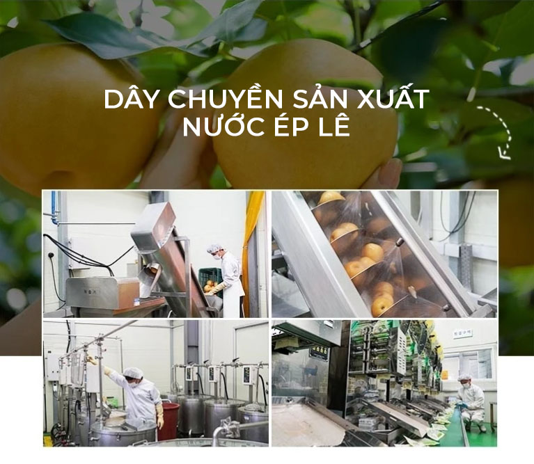 Thùng 30 Gói Nước Lê Hàn Quốc Nguyên Chất 100% - Chính Hãng SLOWFOOD
