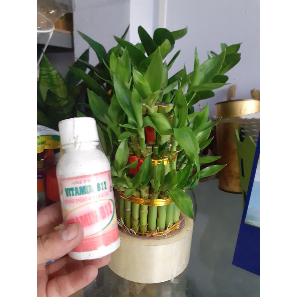 Chế phẩm giải độc cho cây Vitamin B12