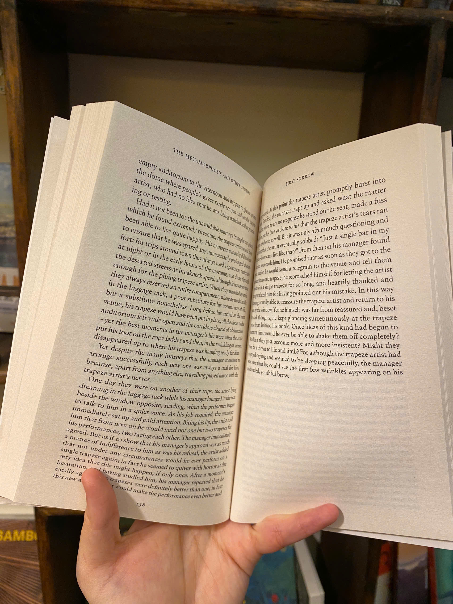 Sách - The Metamorphosis and Other Stories by Franz Kafka / Tiểu thuyết tiếng Anh / Classic / English