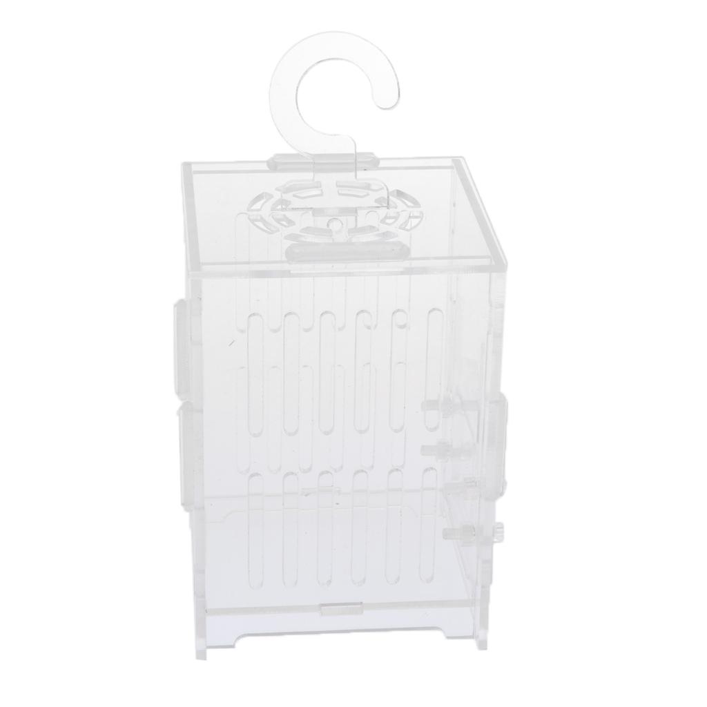 Durable Acrylic Small Insect Cage Grasshopper Feeding Cricket Cage Indoor Toy