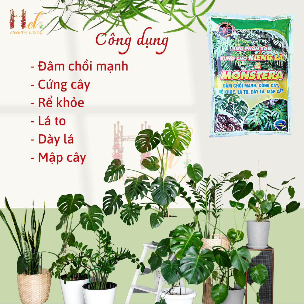 Phân Bón Hữu Cơ Kiểng Lá, Chuyên Dụng Cho Cây Trong Nhà, Monstera, Kiểng Lá. Gói 700gr Đâm Chồi Mạnh, Cứng Cây