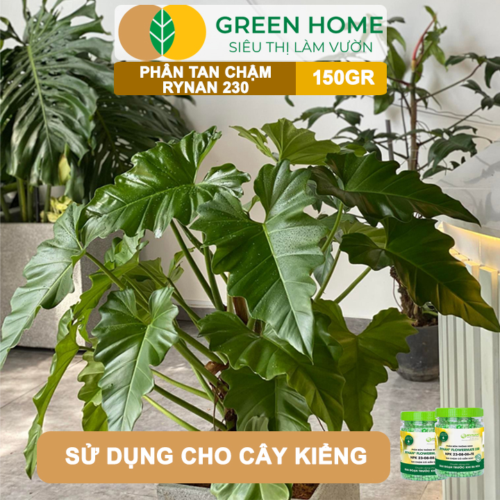 Phân tan chậm Rynan 230, chai 150gr, chuyên kiểng lá, dưỡng lá xanh, sinh trưởng khoẻ |Greenhome