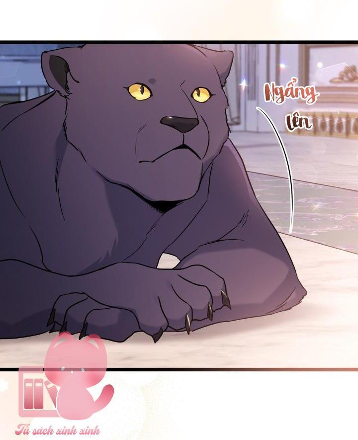 quan hệ cộng sinh giữa báo đen và thỏ trắng chapter 111 60
