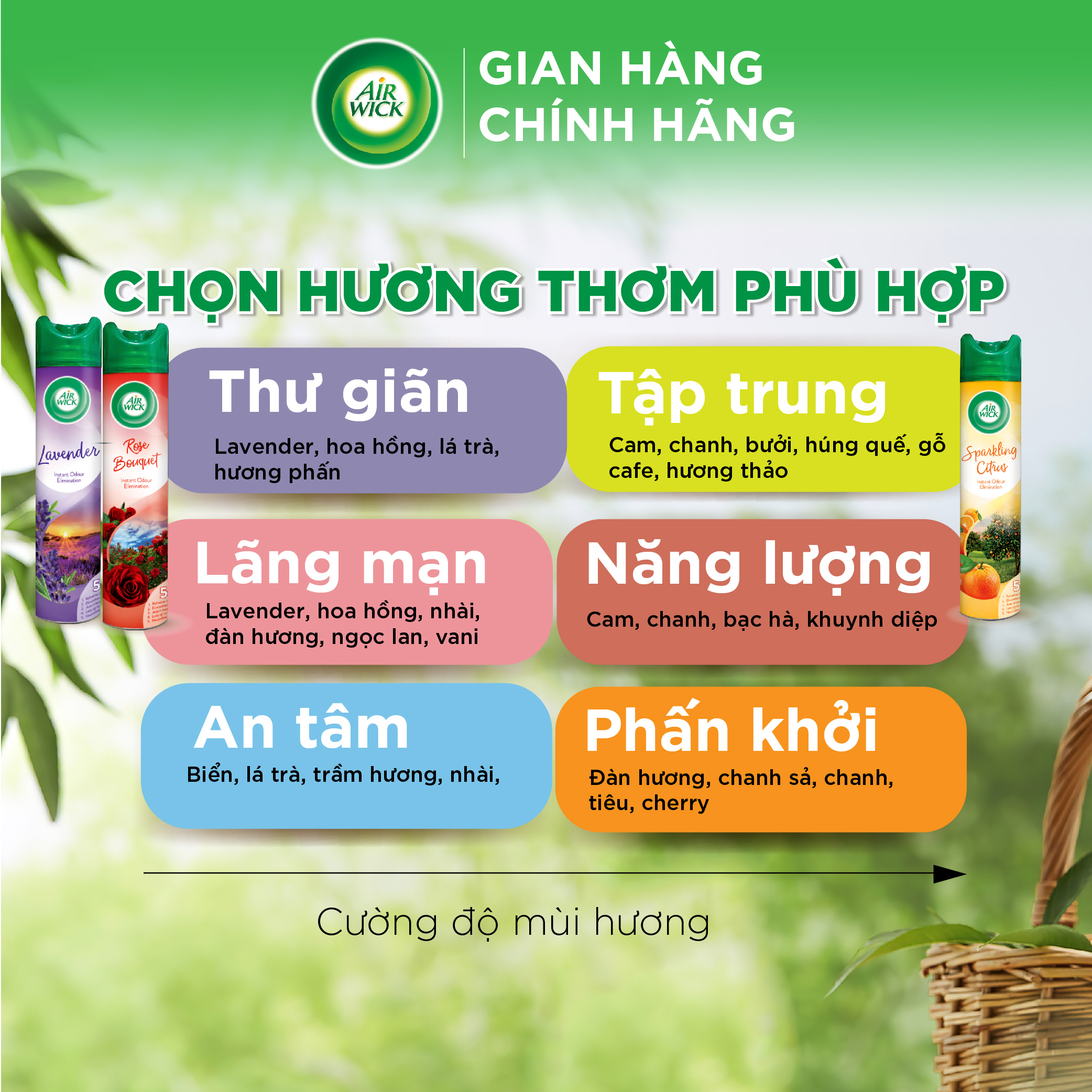 Chai xịt thơm phòng hương hoa hồng AIRWICK ngọt ngào, quyến rũ, vòi xịt thông minh giúp tỏa hương dễ dàng 300ml