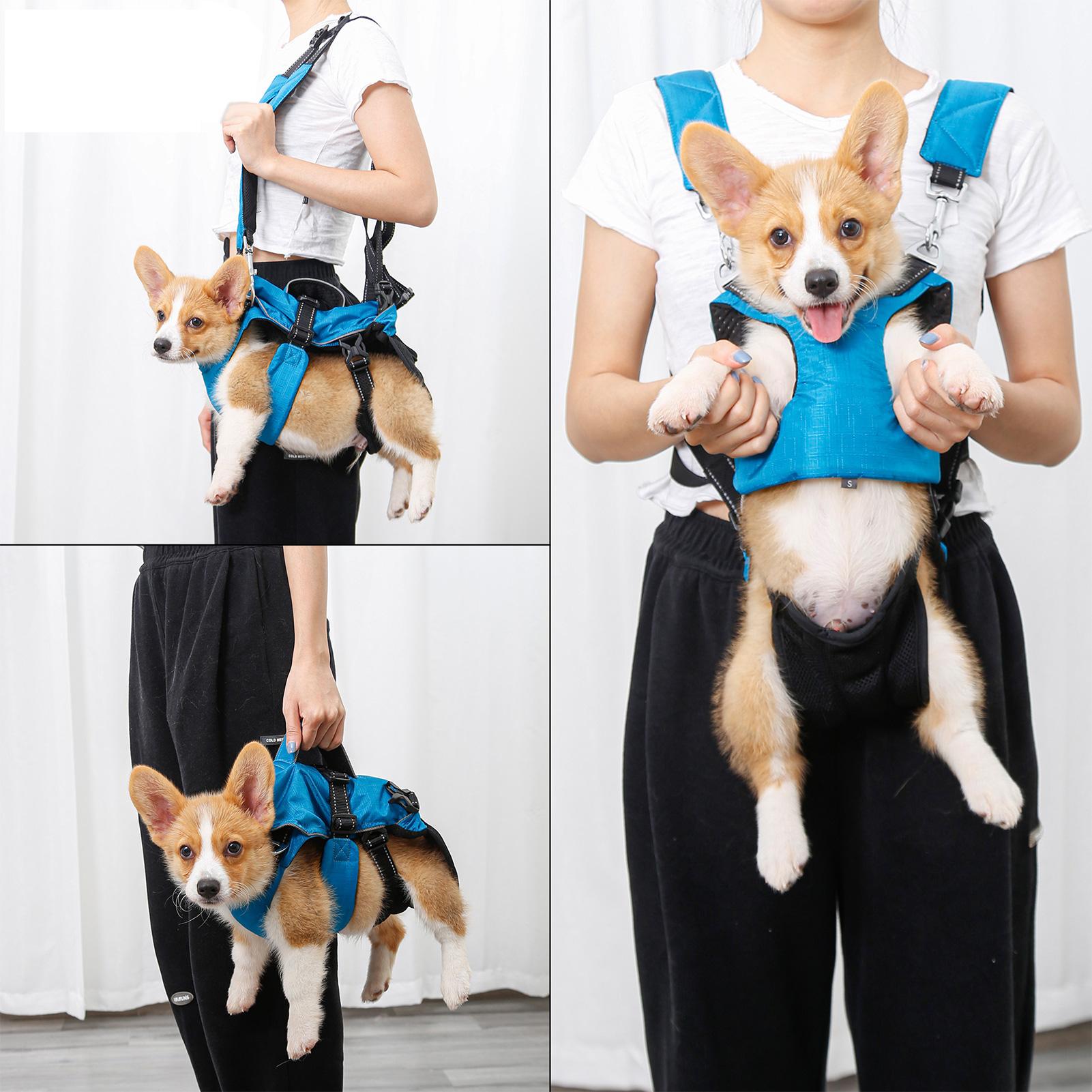 Dây đeo cho chó đi bộ 4 trong 1 với áo lót có đệm mềm có thể điều chỉnh