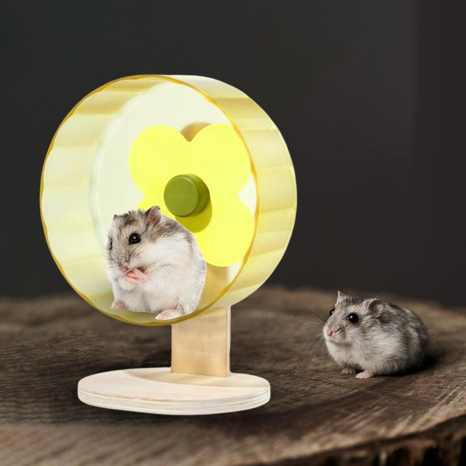 Hamster Exercise Wheel Silent 22cm Guinea Pig Running Toy Stable Adjustable