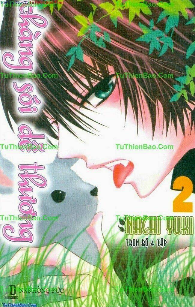 chàng sói dễ thương chapter 2 1