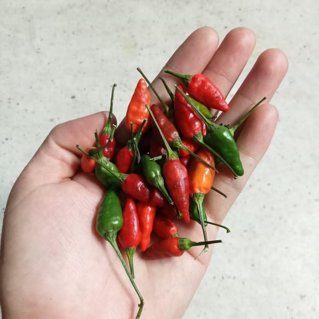 20 Hạt Ớt Xiêm Xanh