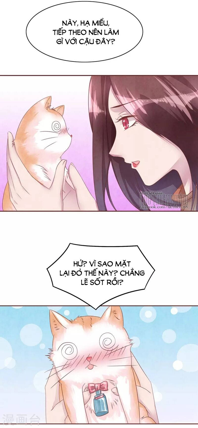đào tạo nuôi dưỡng bạn trai mèo chapter 48 17