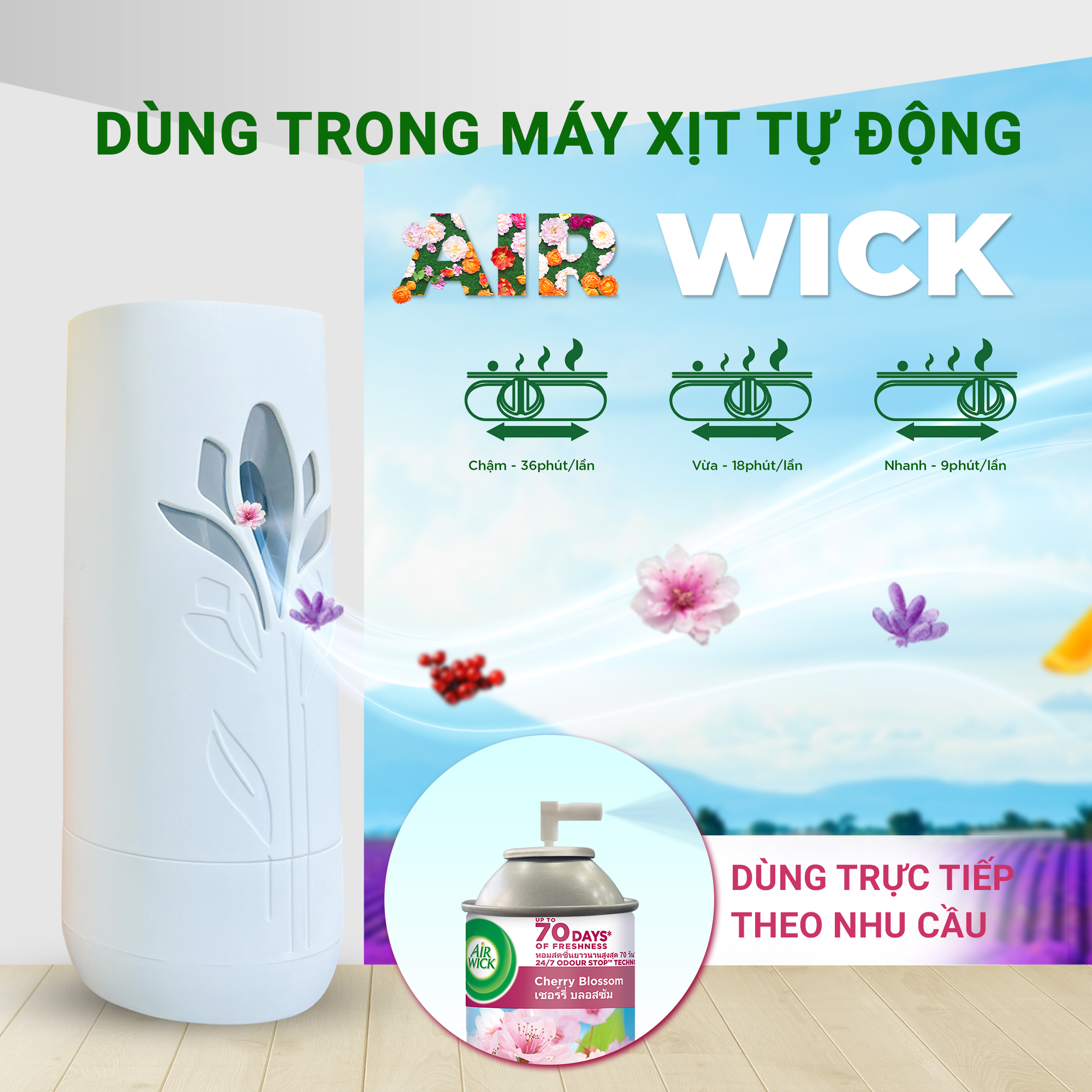 Lõi máy xịt phòng tự động Air Wick, hương Hoa Anh Đào ngọt ngào và khử mùi nhanh chóng, 250ml