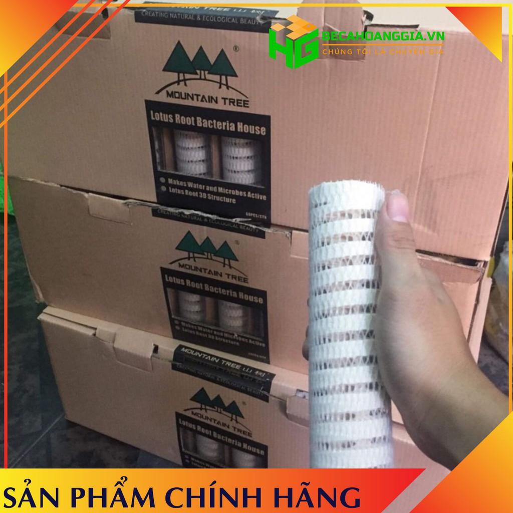 Sứ xoắn Mountain tree thế hệ ||