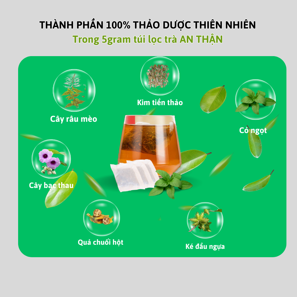 Hình ảnh Combo 3 hộp Trà AN Thận Mộc Can 25 túi giảm chứng thận yếu, tiểu đục, sỏi thận, sỏi bàng quang, thanh nhiệt, giải độc