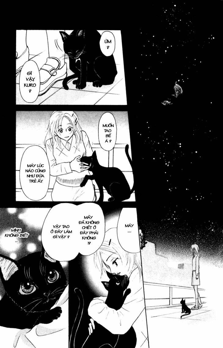 devil cat's temptation chapter 1 31