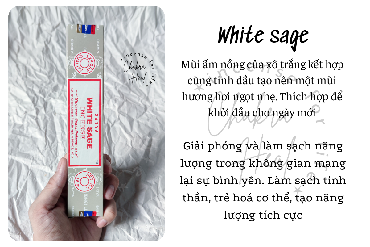 White Sage Satya Incense Hương Xô Thơm Trắng Làm Sạch Năng Lượng l Chakra Heal Incense - Cây