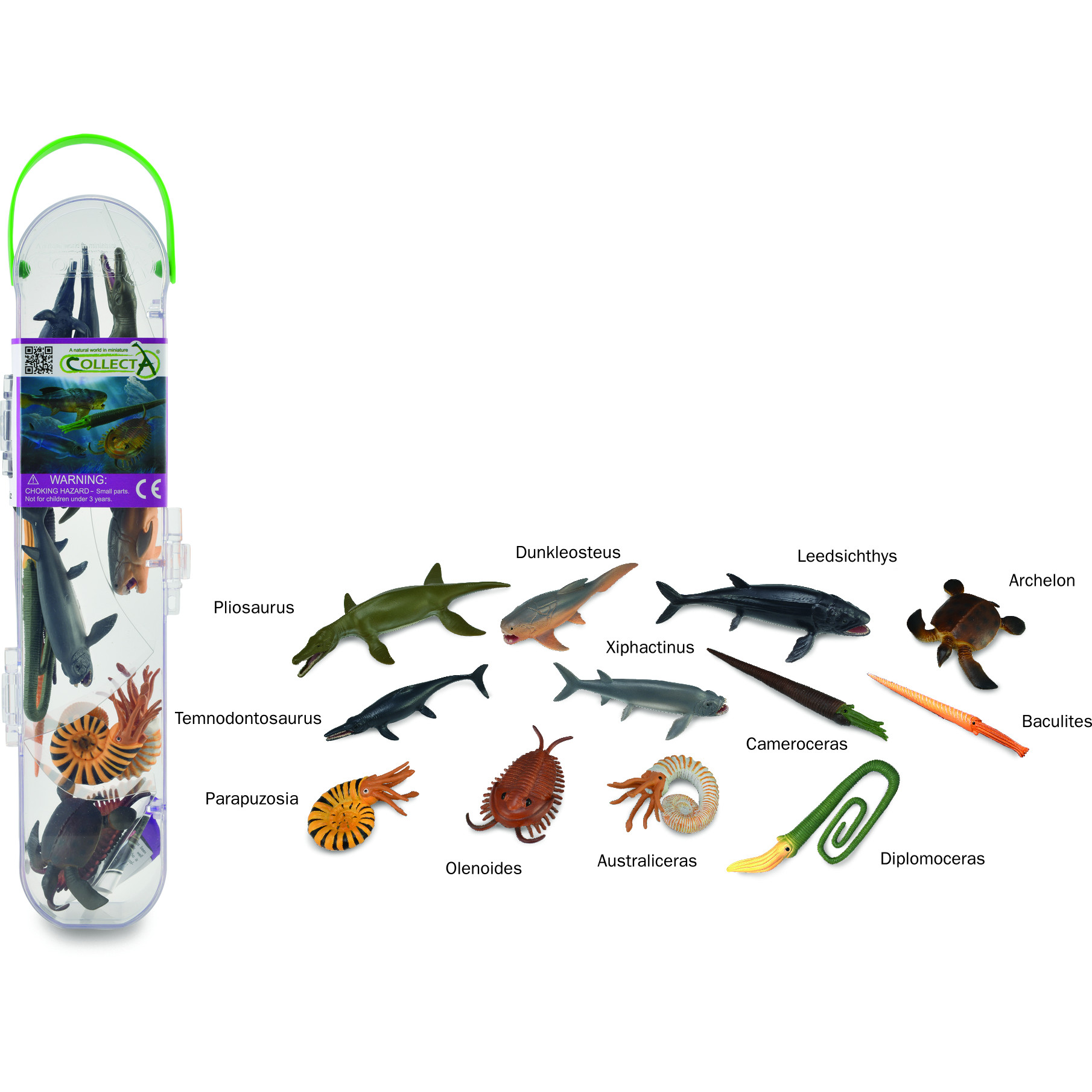 Bộ hình thu nhỏ: Động Vật Biển Tiền Sử - CollectA box of Mini Prehistoric Marine Animals, hiệu: CollectA, mã HS 9655100 - Chất liệu an toàn cho trẻ - Hàng chính hãng