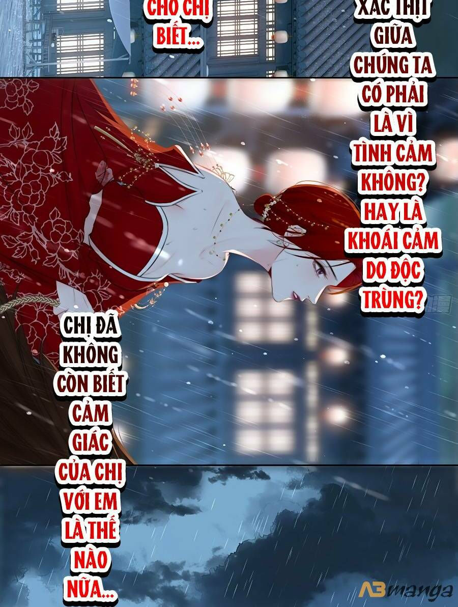 kim ốc tàng kiều chapter 75 6