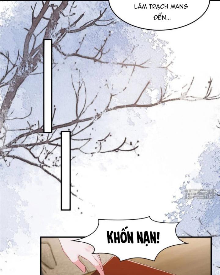 tái sinh tương ngộ chapter 93 23