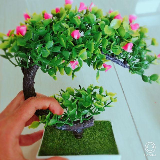 CÂY GIẢ BONSAI HOA RỰC RỠ (kèm chậu) để bàn trang trí decor