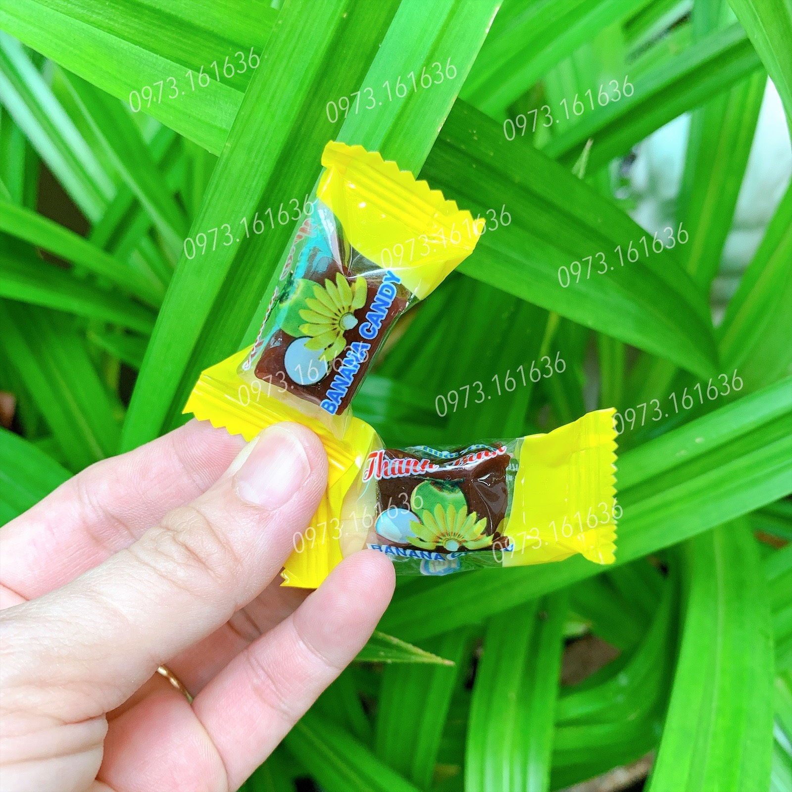 Kẹo chuối tươi Thanh Bình - Túi Zip 500g - nguyên chất, có cốt dừa, mềm dẻo, thơm đậm vị chuối - Đặc Sản Bến Tre