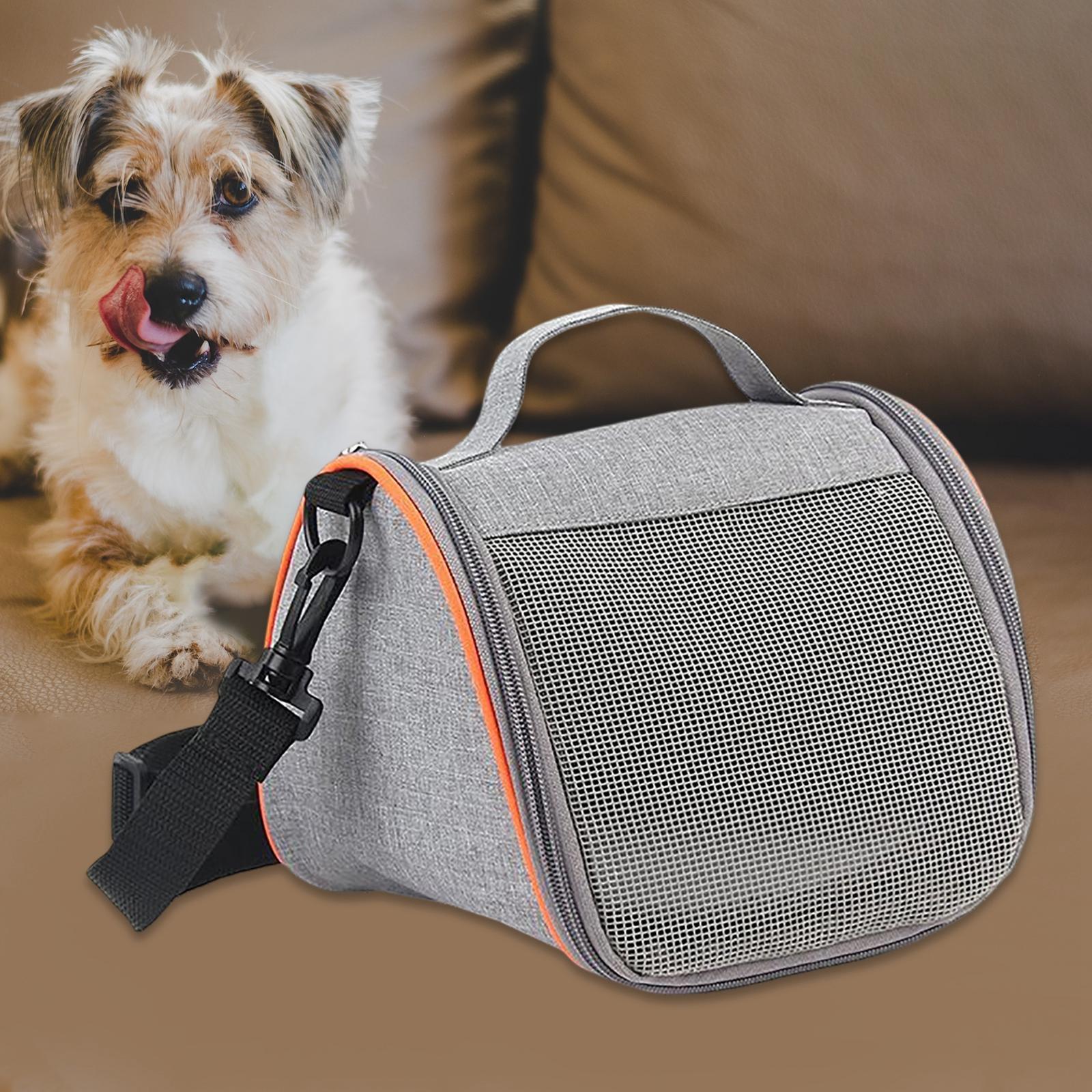 Hamster Carrier Guinea  Travel Transport Bag Small Animals