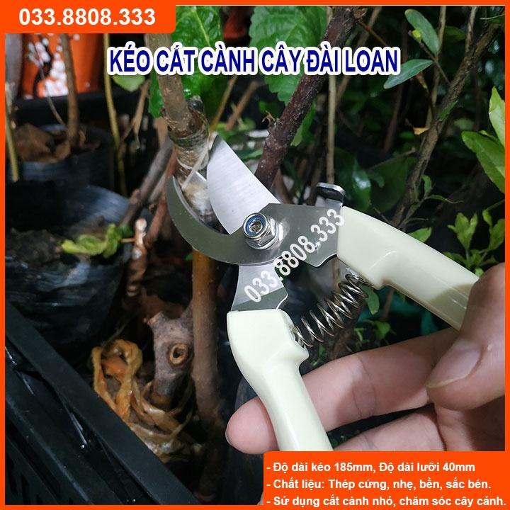 KÉO CẮT CÀNH CÁN TRẮNG ĐÀI LOAN-  KÉO BỀN ĐẸP