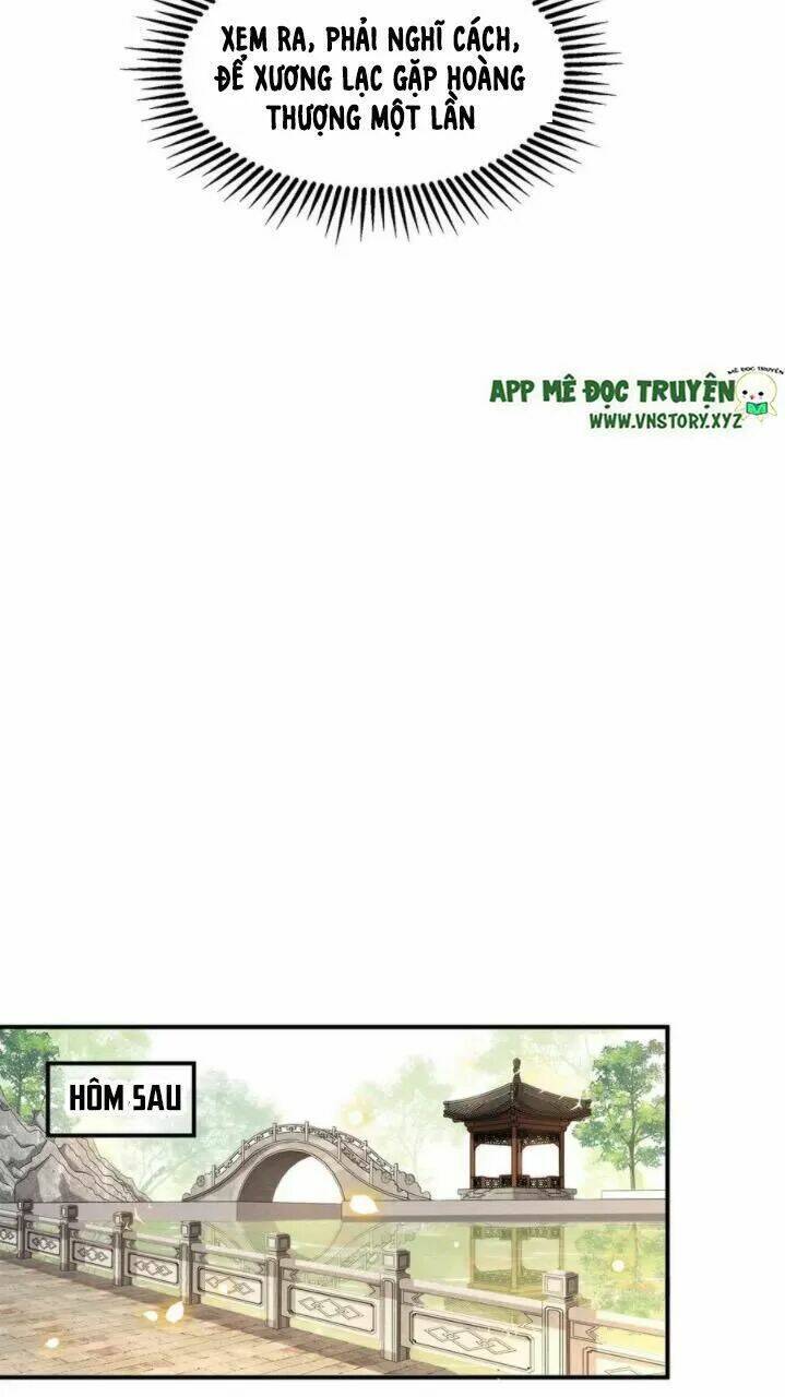 phượng hoàng vu phi chapter 76 29