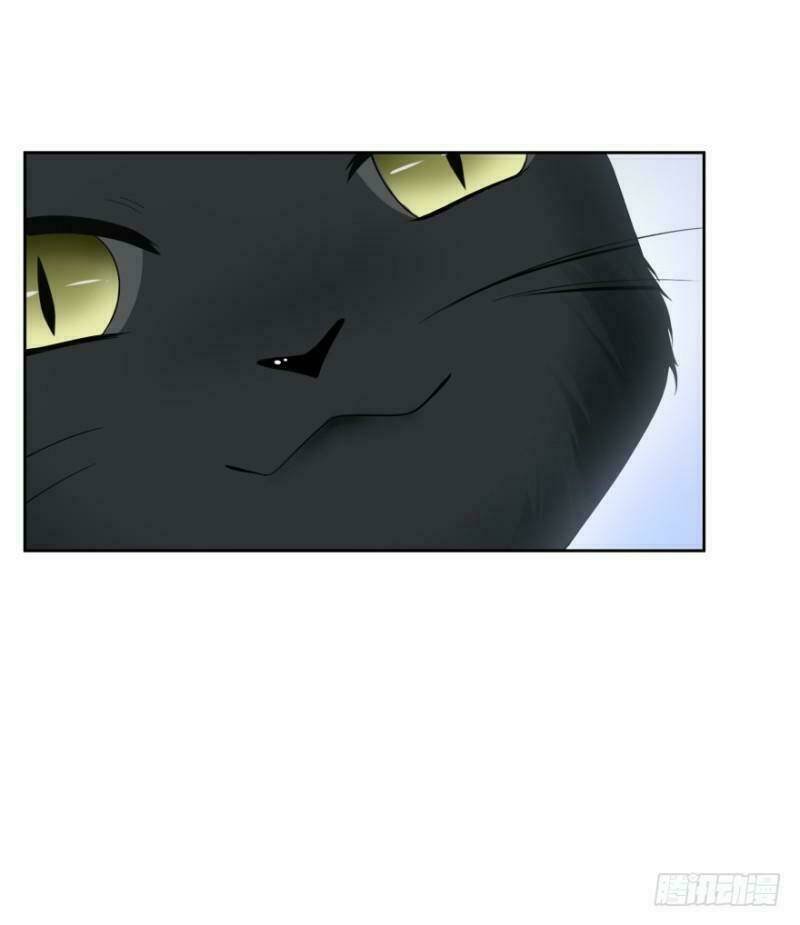 mộ thiếu, lão bà ngươi trọng sinh lại rồi! chapter 14 9