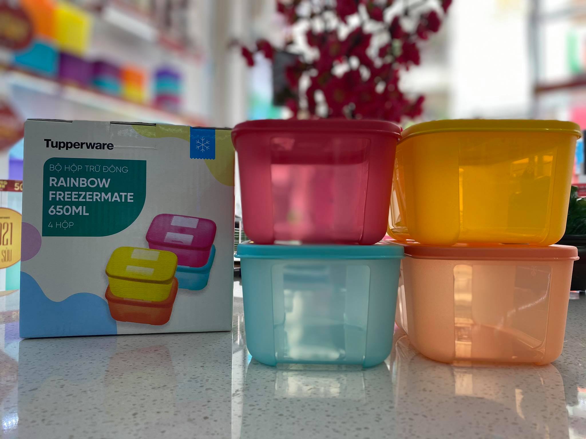 Bộ Hộp Trữ Đông Rainbow 650ml Tupperware