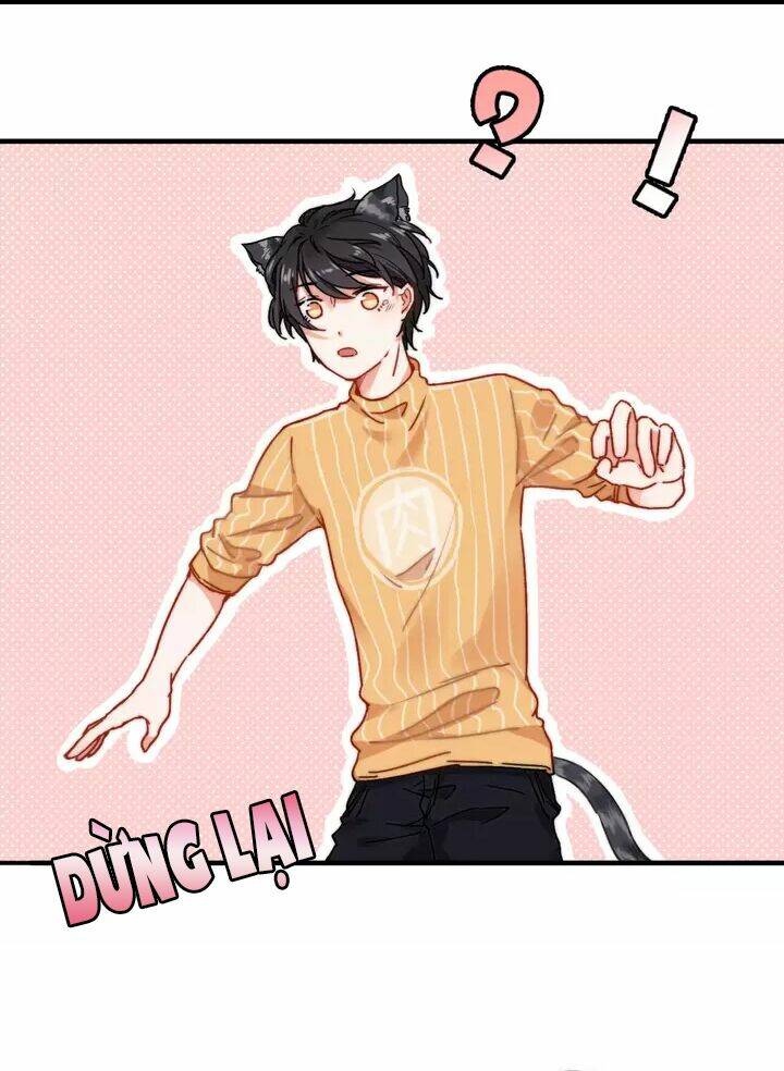 thập quang mật ngữ chapter 11 8