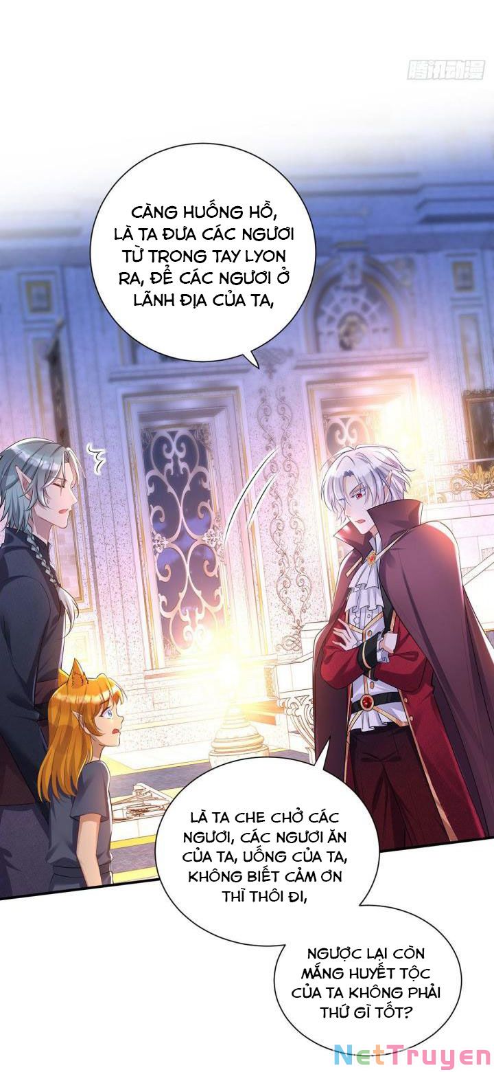 Dẫn Sói Vào Nhà chapter 68