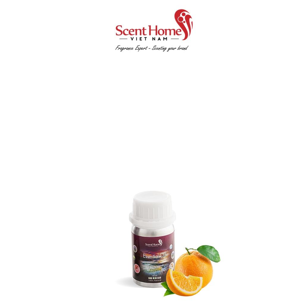 Tinh dầu Scent Homes - mùi hương
