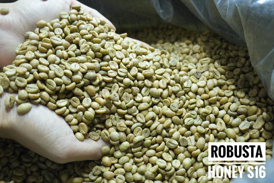500g Cà Phê Nhân Robusta