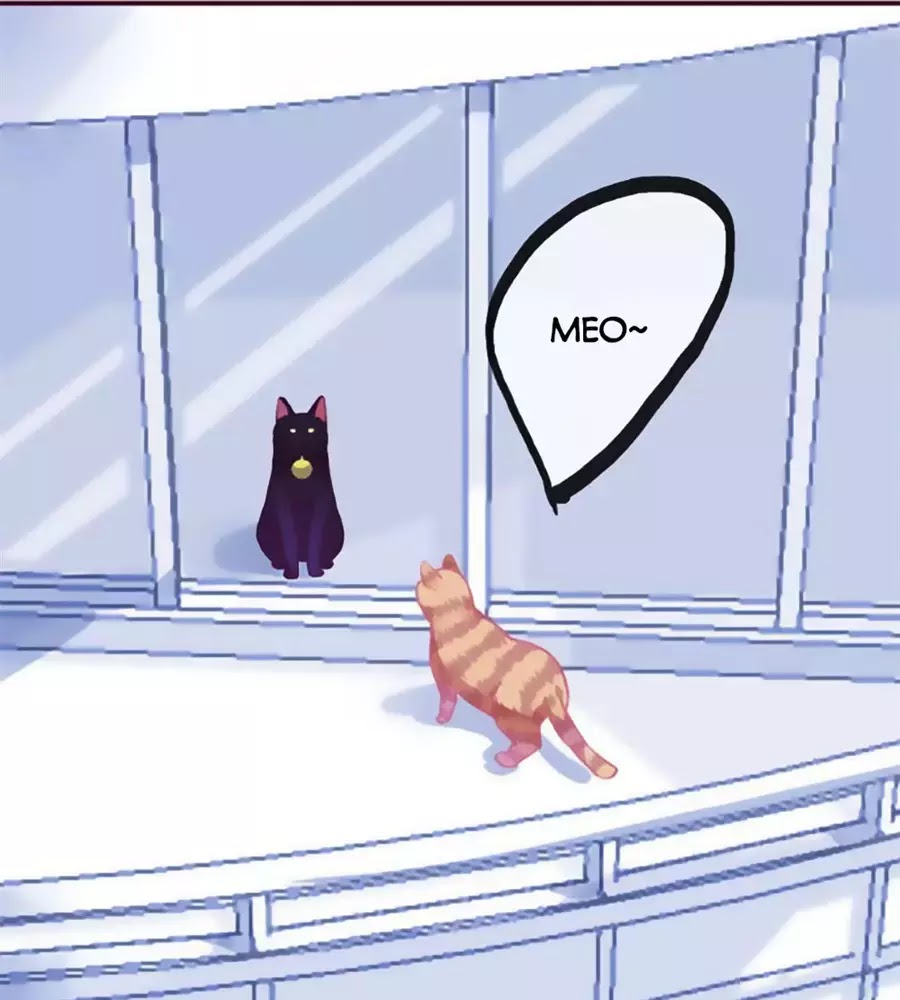 đừng nghịch, ta chỉ muốn yên tĩnh chapter 69 9