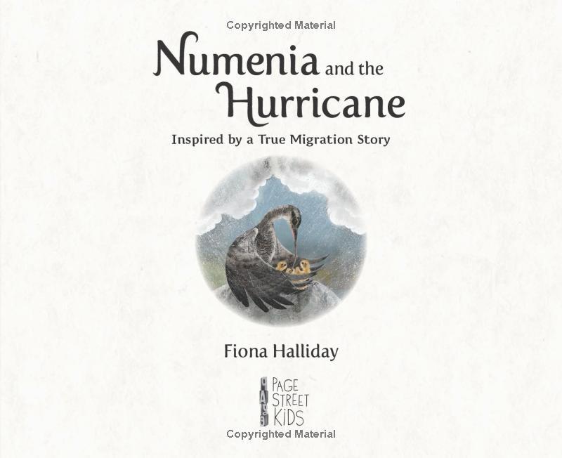 Sách ngoại văn: Numeria And The Hurricane - Inspired By A True Migration Story