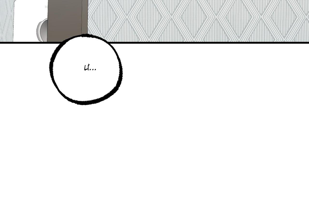 những chú thỏ của hapypy chapter 60 209