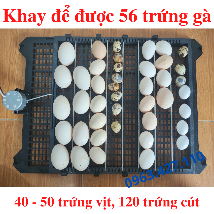 Khay đảo trứng ngỗng tự động, chạy cực êm