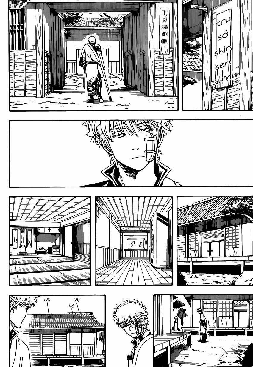 gintama - linh hồn bạc chapter 525 11