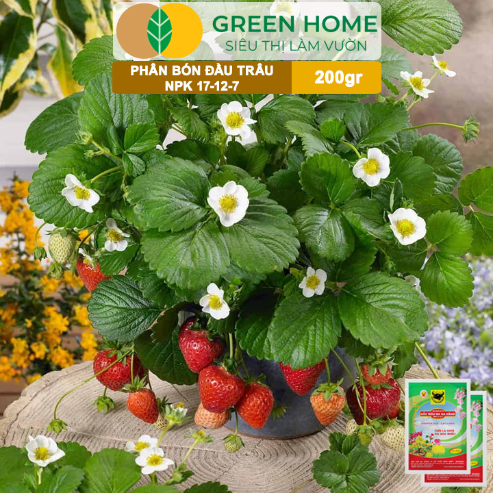 Phân NPK 17-12-7 Greenhome, Đầu Trâu, Bao 200Gr, Chồi Lá Khỏe - Ra Hoa Nhiều, Chuyên Hoa Và Cây Cảnh
