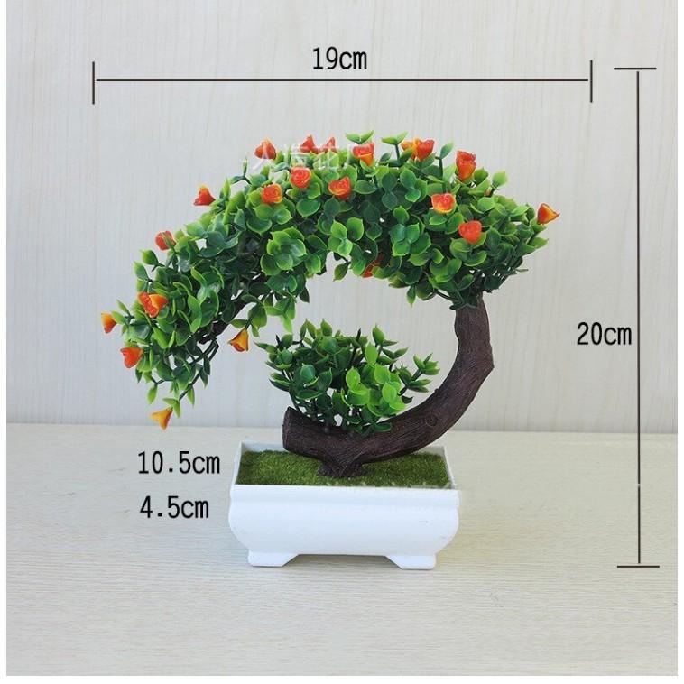 CÂY GIẢ BONSAI HOA RỰC RỠ kèm chậu - Chậu cây Phú Quý Cát Tường trang trí, để bàn - Hoa giả may mắn tài lộc