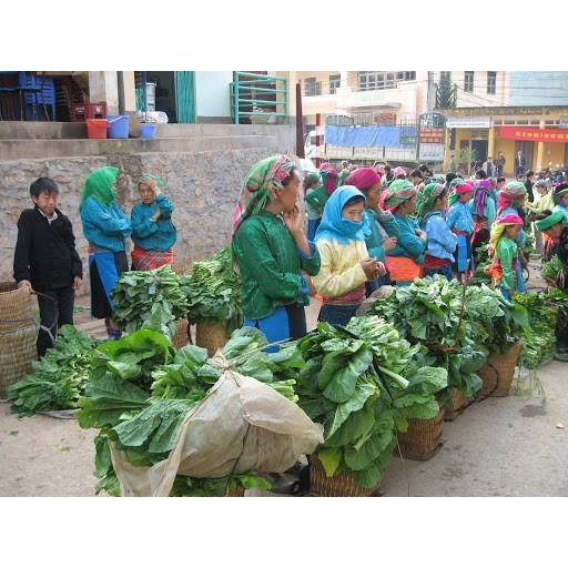 HẠT GIỐNG CẢI MÈO ĐẶC SẢN HÀ GIANG LUÔN TUYỂN ĐẠI LÝ TRÊN TOÀN QUỐC