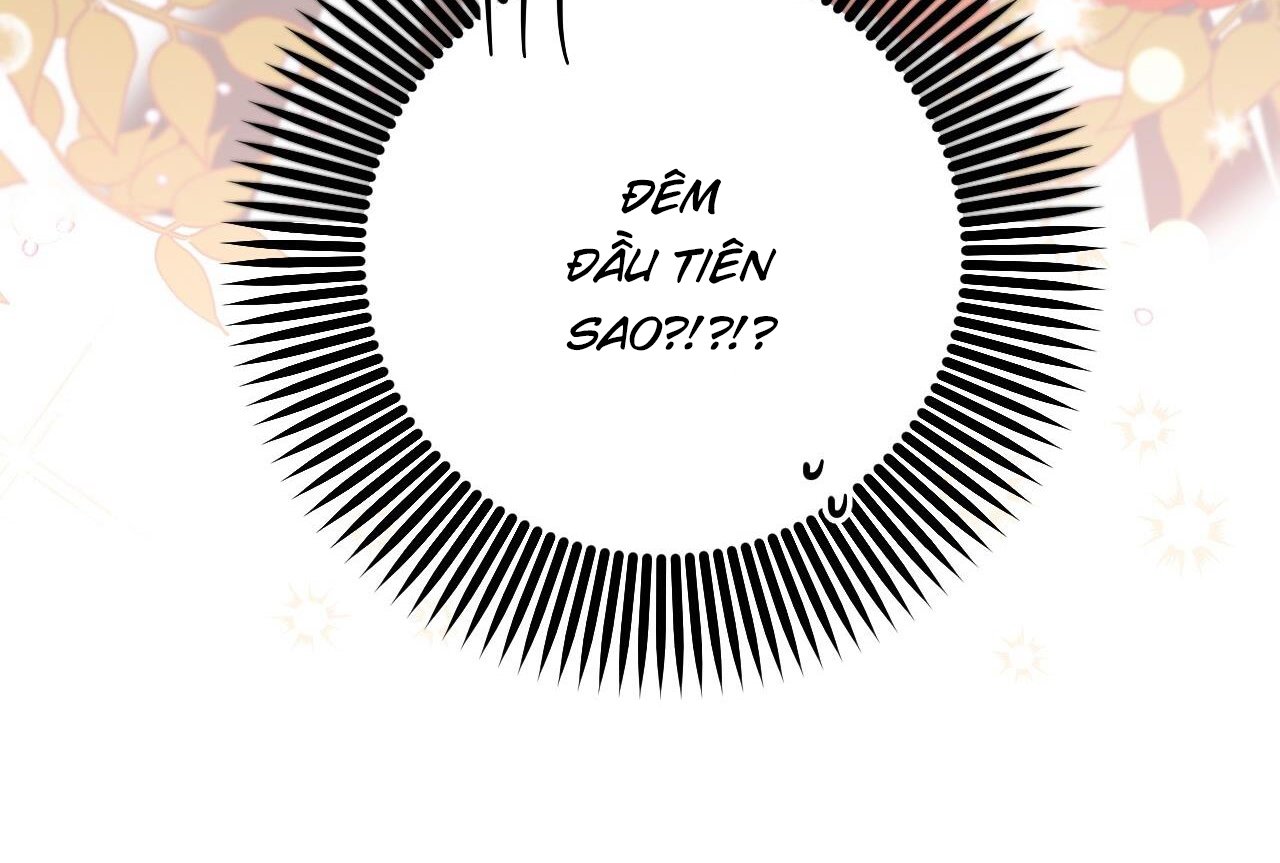 những chú thỏ của hapypy chapter 58 67