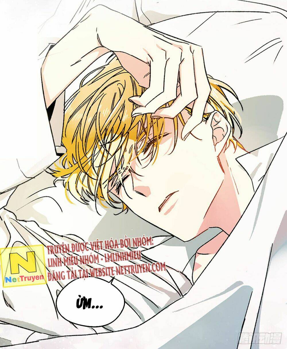 nam bộc xinh đẹp của tôi chapter 1 28