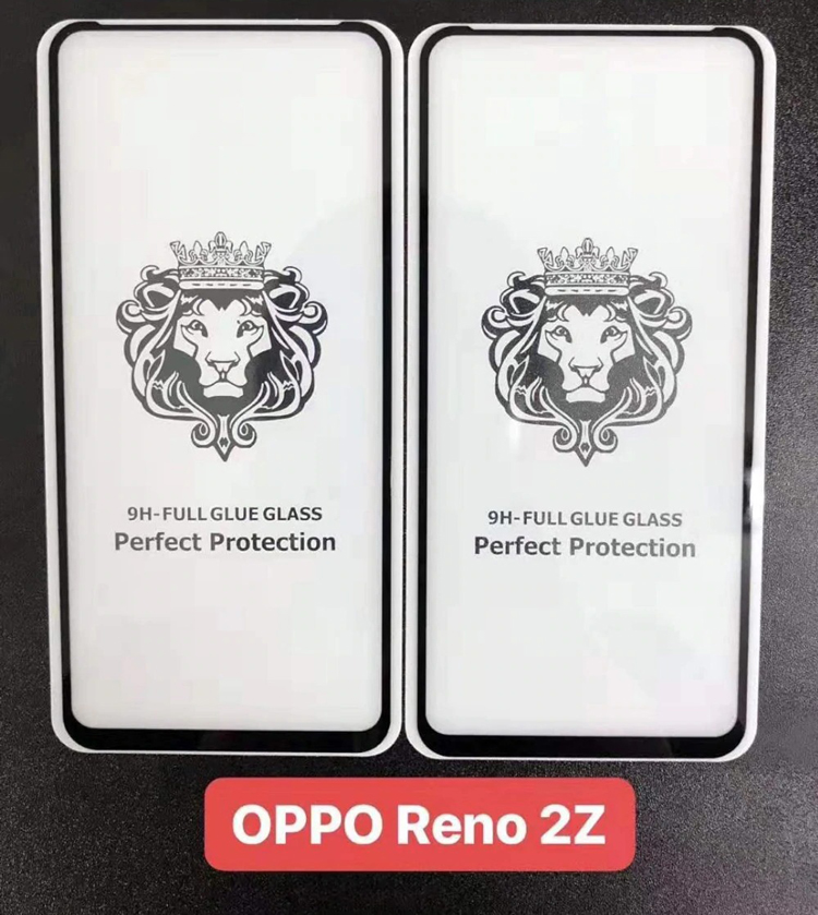 Dán cường lực dành cho OPPO Reno 2 Z Full keo và từ tính