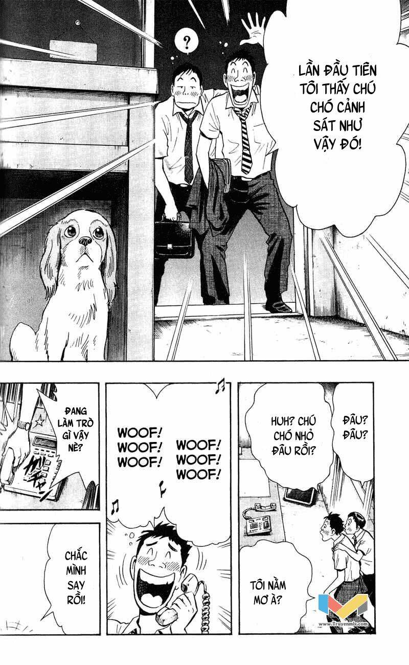 animal sense chapter 7 21