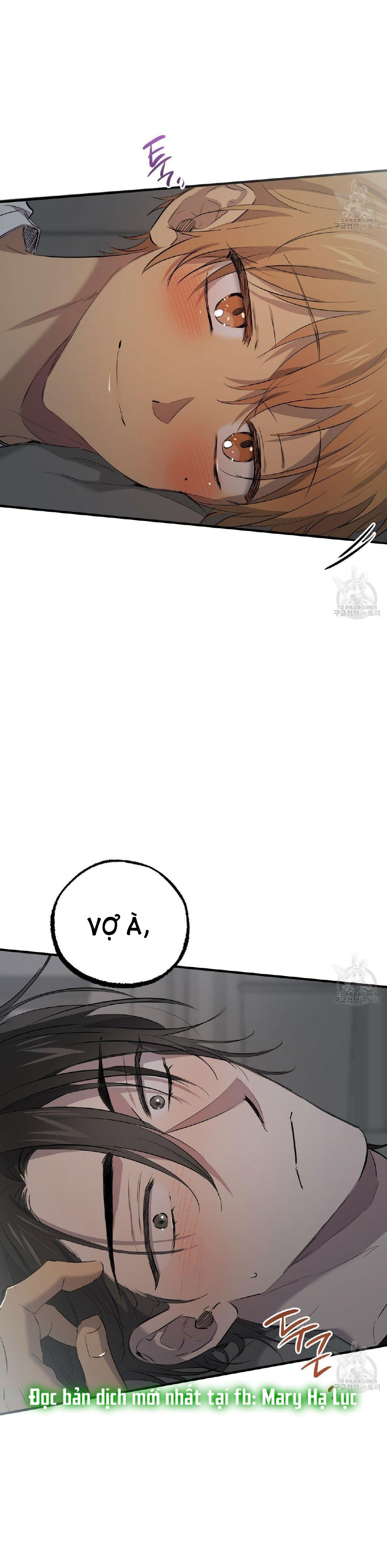 những chú thỏ của hapypy chapter 52.2 7