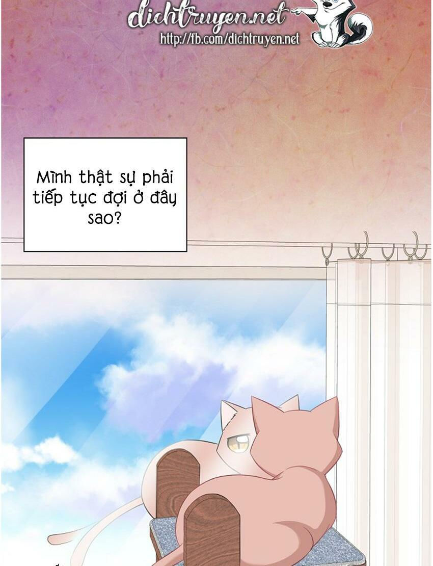cuộc sống kỳ thú chapter 17 12