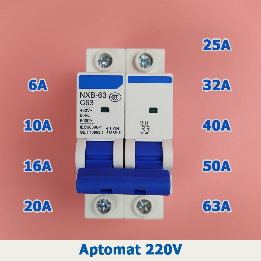 Aptomat CHI NT NXB-63 bộ ngắt mạch CB tép MCB 220V 2P 6A 10A 16A 20A 25A 32A 40A 50A 63A