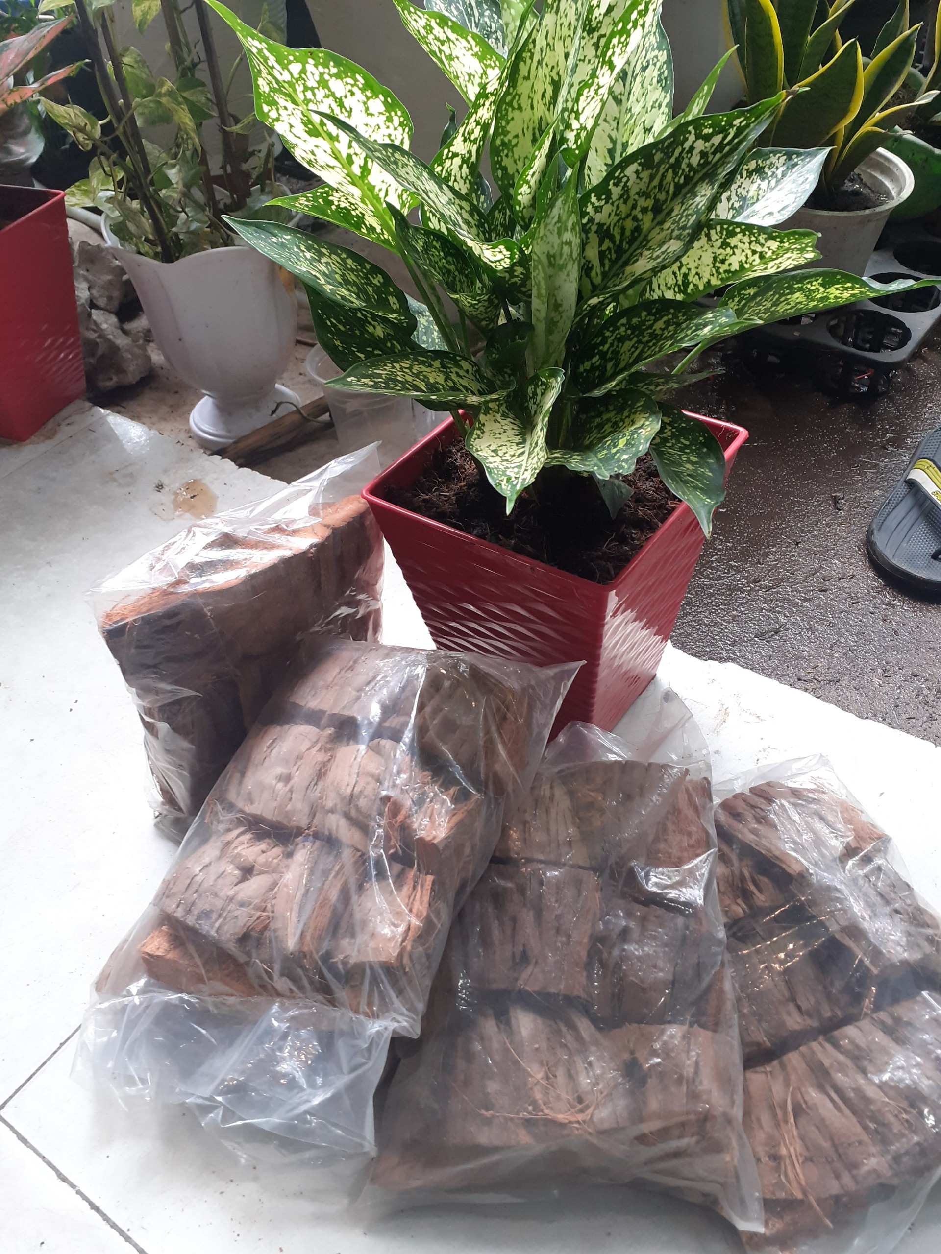 ** Combo 5 bịch xơ dừa nguyên vỏ **
