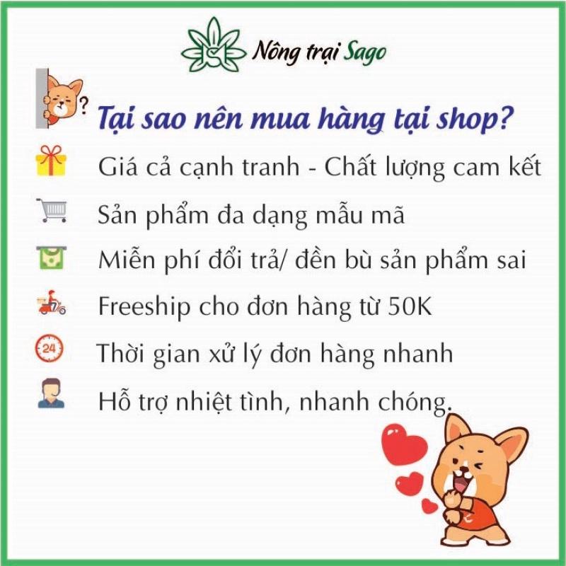 Hạt giống Tỏi Tây/ Hành Baro Năng Suất Cao, Trồng Quanh Năm - Nông Trại Sago